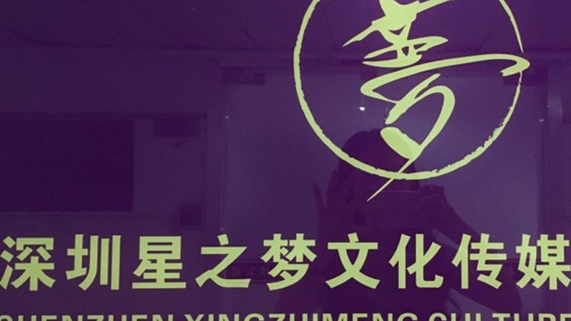 品牌设计公司如何打造视觉盛宴：优秀作品解析